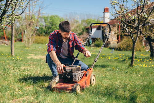 Lawn Care Services, mowing lawn
