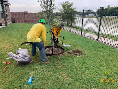 Professional weed removal and lawn maintenance in Fort Worth, TX.