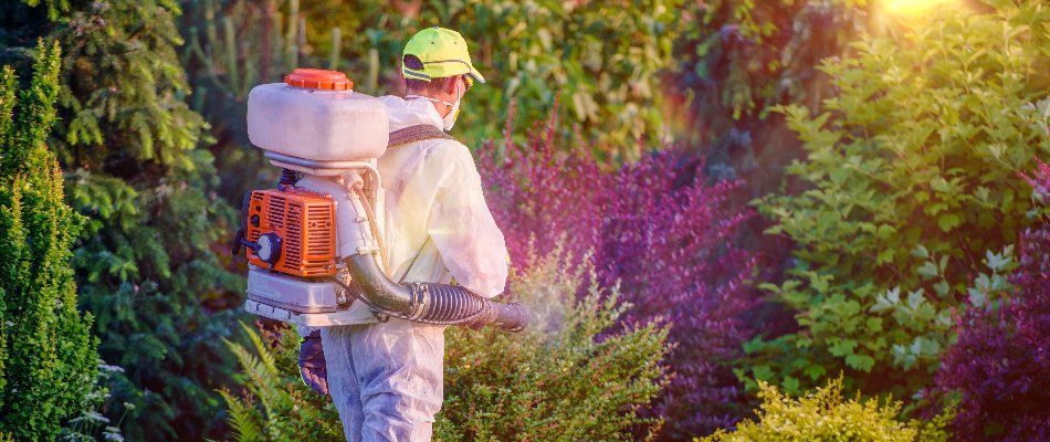 Blog Professional Applying Mosquito Control Treatment