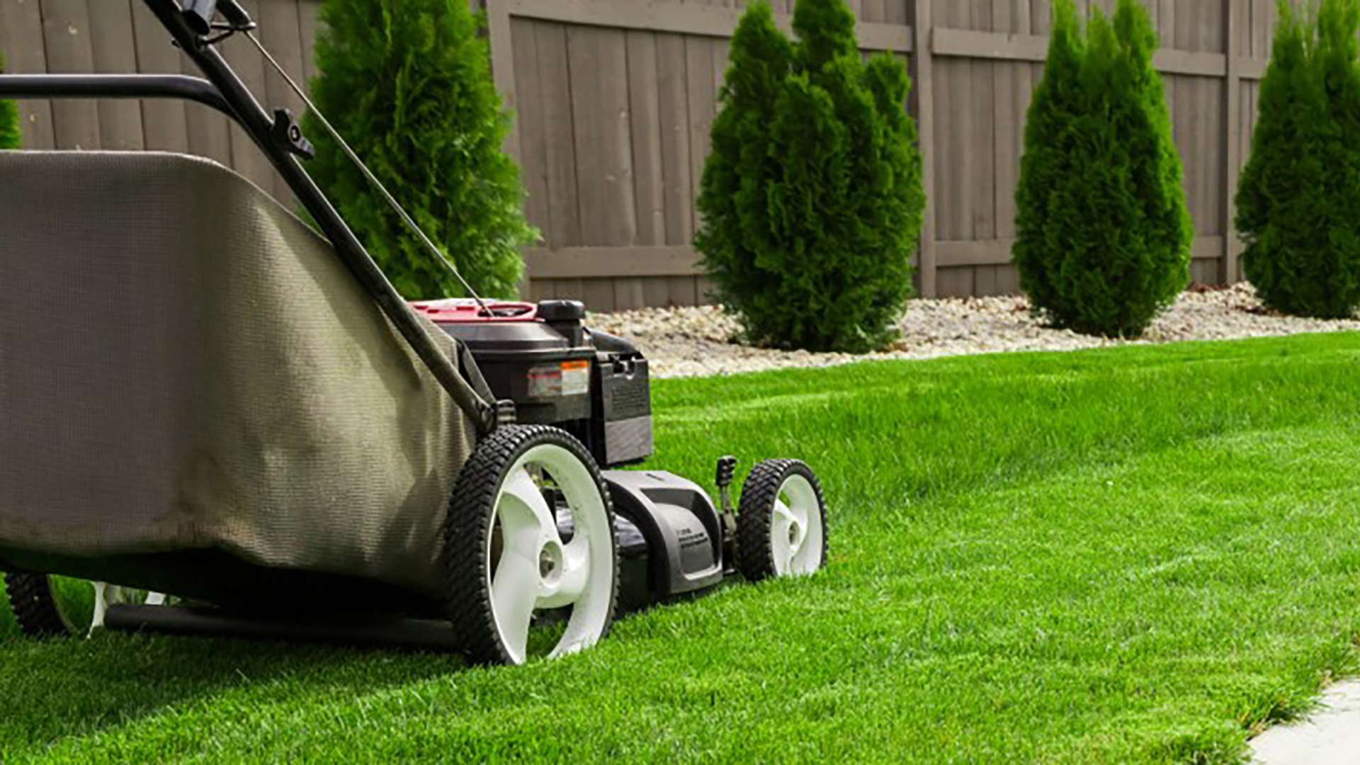 Aeration: Discover Why, How & When to Aerate Your Lawn