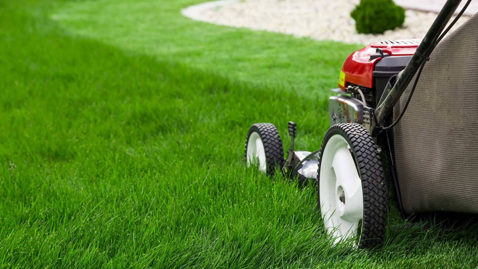 The Quick and Easy Guide to Fertilizing Your Lawn and Keeping It Healthy