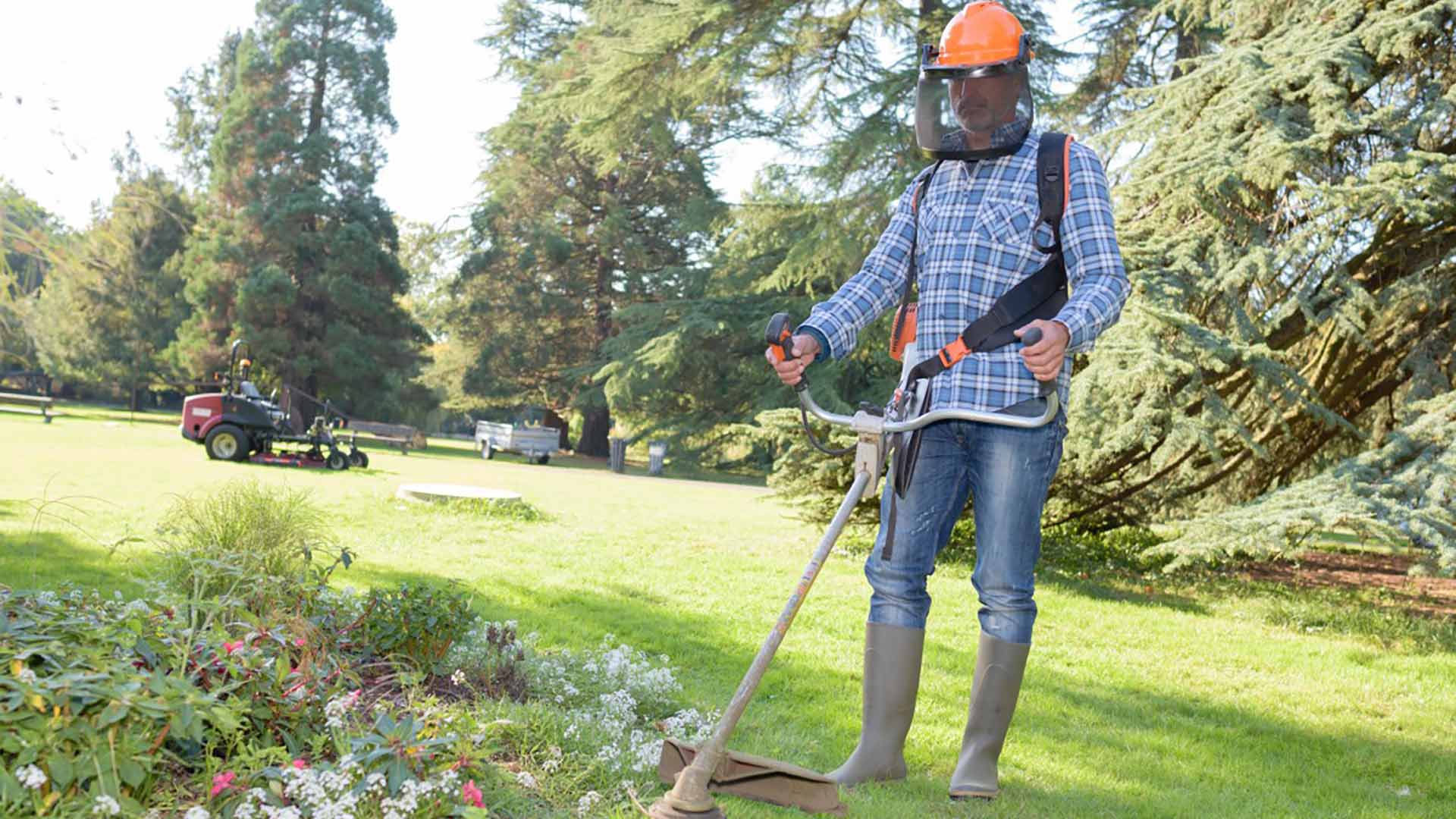 5 Tips for Keeping Your Flower Beds Looking Fresh