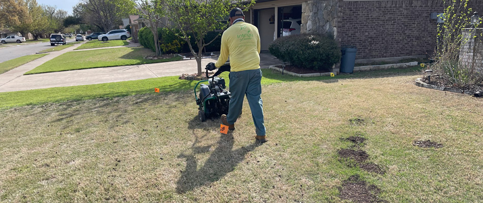 Professional aerating lawn with core plugs out in Fort Worth, TX.