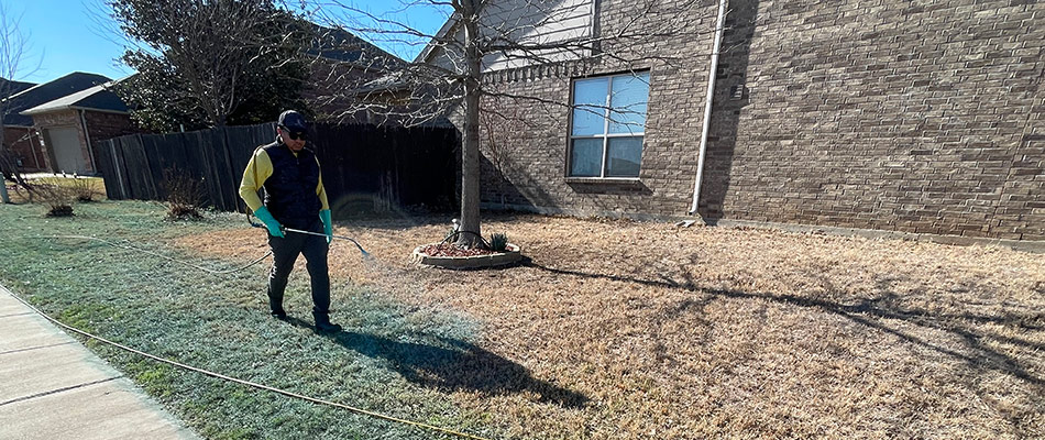 A professional spraying weed control to a lawn in Fort Worth, TX.