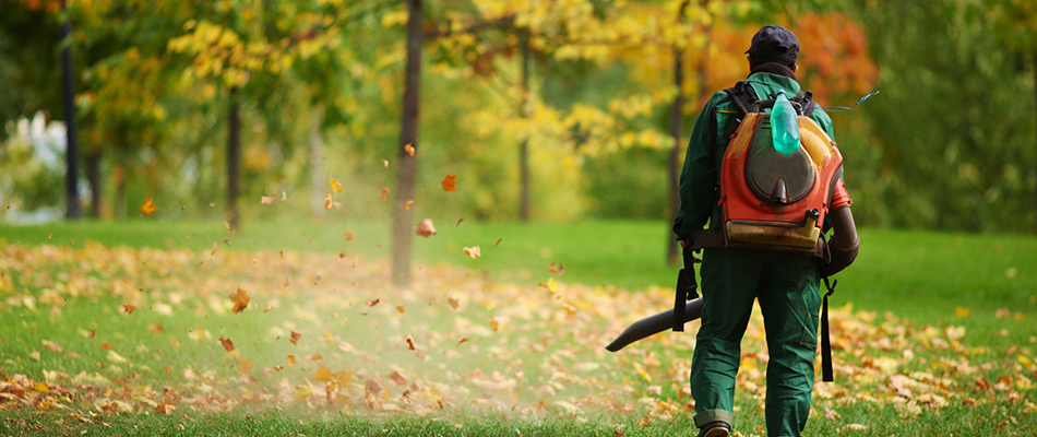 A professional with a leaf blower removing leaves in a yard near Benbrook, TX.