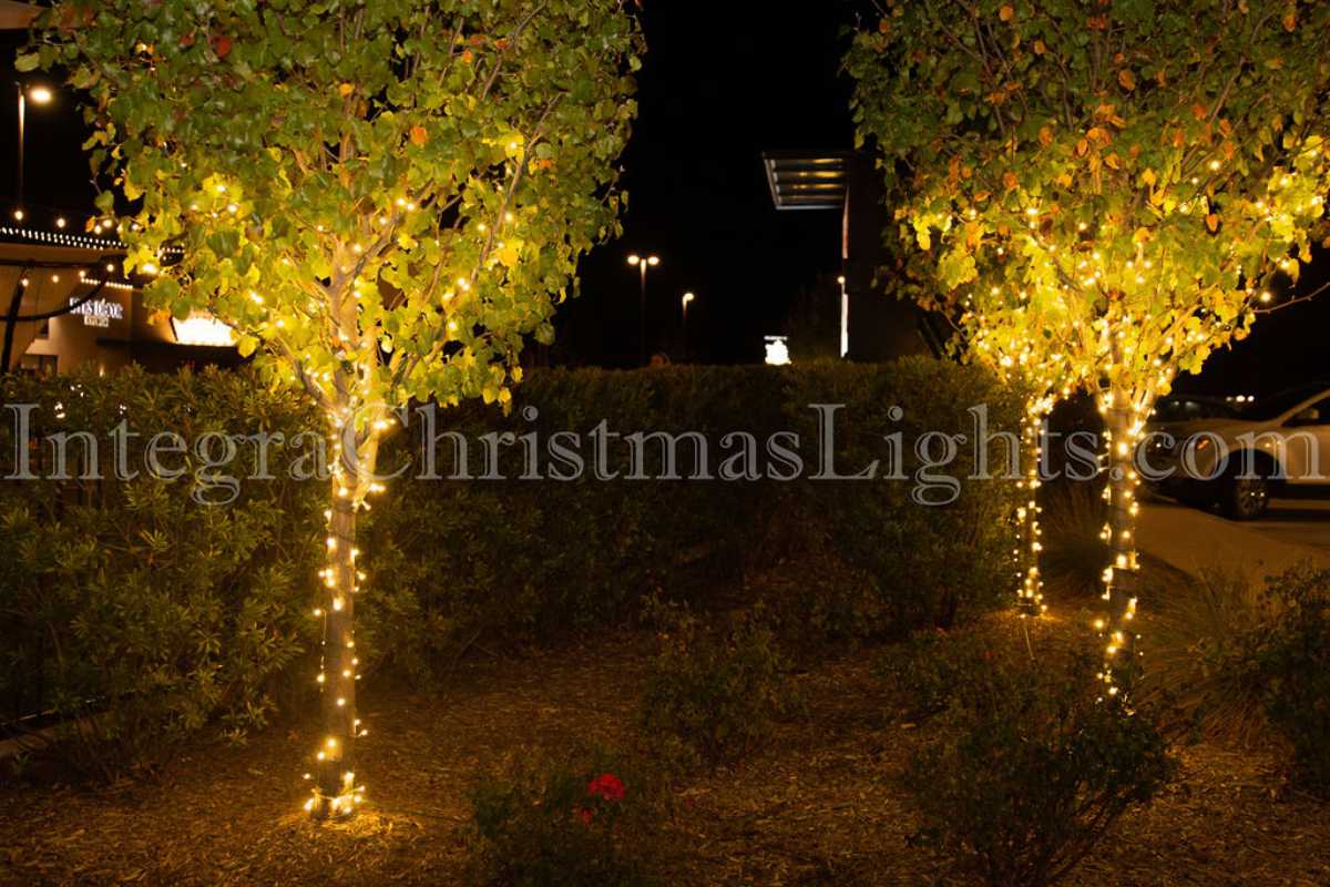 Christmas Lights Gallery8